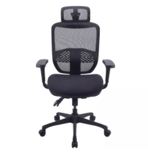 Ergotrend เก้าอี้เพื่อสุขภาพ 10 เก้าอี้เพื่อสุขภาพ ยี่ห้อไหนดี (Ergonomic Chair) นั่งแล้วสบาย เหมาะไว้เป็นเก้าอี้ทำงาน