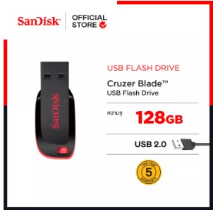 Flash Drive usb SanDisk-128G