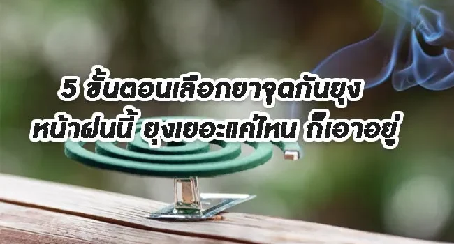 5 steps to choosing mosquito repellent this rainy season. No matter how many mosquitoes there are it can handle it result 1 5 ขั้นตอนเลือกยาจุดกันยุง หน้าฝนนี้ ยุงเยอะแค่ไหน ก็เอาอยู่